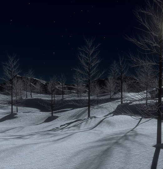 A winter moon shines on a snowy landscape